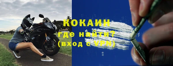 хмурый Алзамай