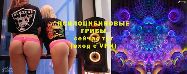 хмурый Алзамай