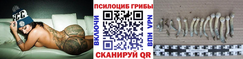 Галлюциногенные грибы Cubensis Домодедово